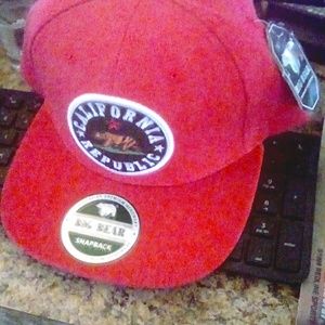 Big Bear Headwear new snapback cap